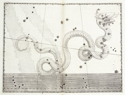 Konstellation von Serpens Caput und Serpens Cauda, ca. 1603 von Johann Bayer