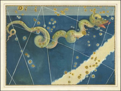 Hydra - Johann Bayer von Johann Bayer