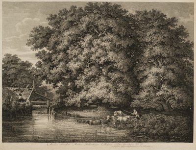 Ein Bauer treibt sein Vieh ins Wasser von Johann Christian Reinhart