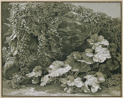 Große Blattpflanzen an efeuumrankter Felsgrotte von Johann Christian Reinhart