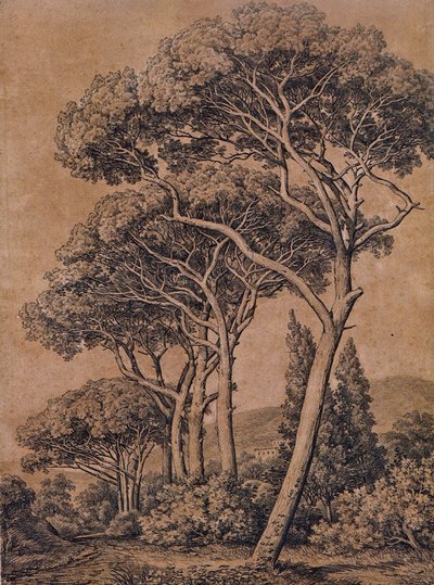 J C Reinhart Schirmpinien 1791 von Johann Christian Reinhart