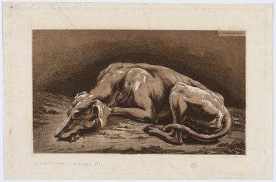 Schlafender Windhund von Johann Christian Reinhart