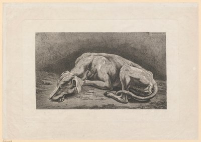 Schlafender Windhund von Johann Christian Reinhart