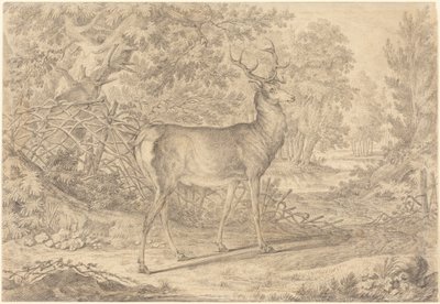 Ein prächtiger junger Hirsch vor einem Flechtzaun von Johann Elias Ridinger