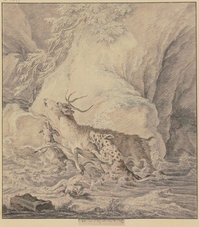 Verwundeter Hirsch, von zwei Hunden durchs Wasser gehetzt, ein dritter Hund liegt verwundet im Wasser von Johann Elias Ridinger