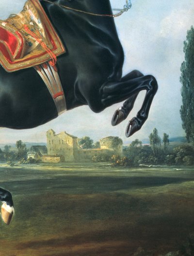 Ein schwarzes Pferd, das die Courbette ausführt (Detail) von Johann Georg Hamilton