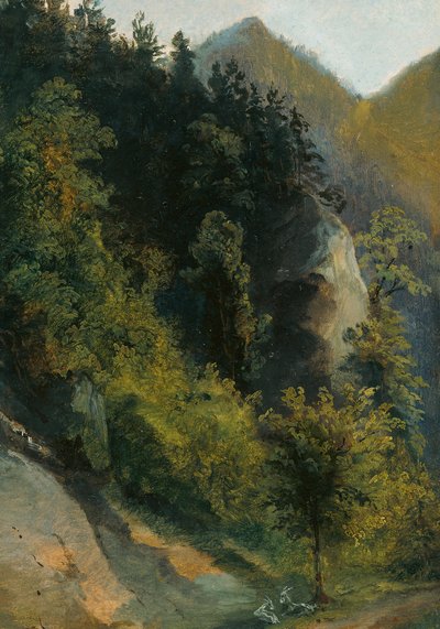 Bewaldetes Felstal mit Ziegen von Johann Georg von Dillis