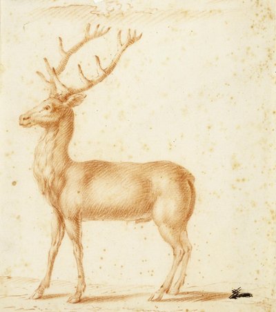 Ein Hirsch von Johann Heinrich Roos