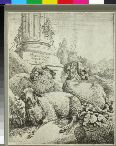 Schafe am Fuße einer Säule von Johann Heinrich Roos