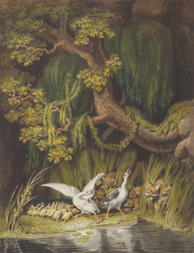 Eine Gans und ein Ganter mit ihren Küken, die in Alarm schreien, als zwei Füchse... von Johann Heinrich Wilhelm Tischbein