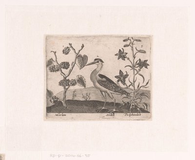 Serie von Drucken mit Blumen und Tieren in einer Landschaft (Landschaften mit Tieren, Pflanzen und Blumen) von Johann Hogenberg