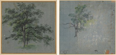 Zwei Bäume (recto) Baumstudien (verso) von Johann Jacob Dorner
