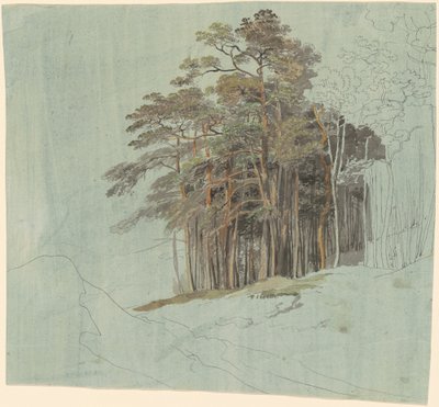 Eine Studie von Kiefern von Johann Jakob Dorner the younger
