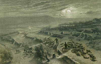 Das Tal der Hirten in Bethlehem. Radierung von Bernatz et alii - Steinkopk J.F. Editore von Johann Martin Bernatz
