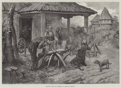 Beschlagen von Ochsen und Pferden in einer serbischen Schmiede von Johann Nepomuk Schonberg