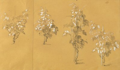 Weinstock, Studie zu "Hermann und Dorothea im Weinberg" von Johann Peter Krafft