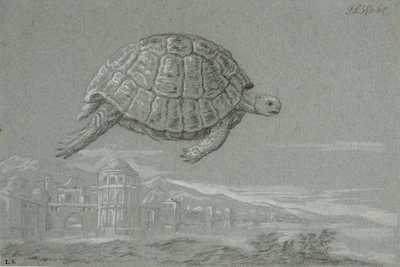 Studie einer Schildkröte und Aussicht auf eine befestigte Stadt am Meer (Venedig) von Johann Salomon Wahl