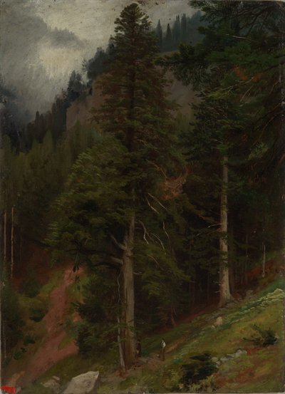 Abhang im Tannenwald von Johann Wilhelm Schirmer