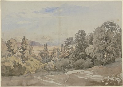 Wald mit Fernblick von Johann Wilhelm Schirmer