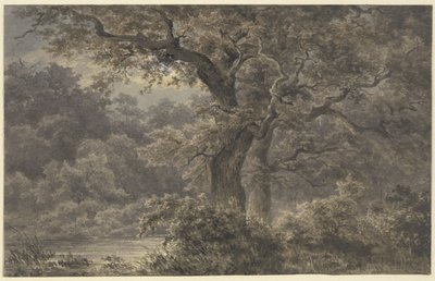 Eichen im Wald von Johann Wilhelm Schirmer