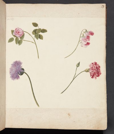 Studie von Blumen von Johanna Fosie