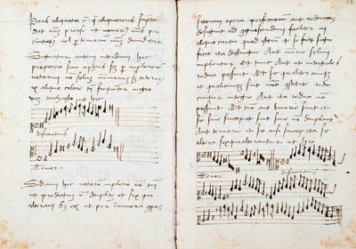 Seite aus einem Musiktheoriebuch von Johannes Tinctoris von Johannes (c.1435 1511) Tinctoris