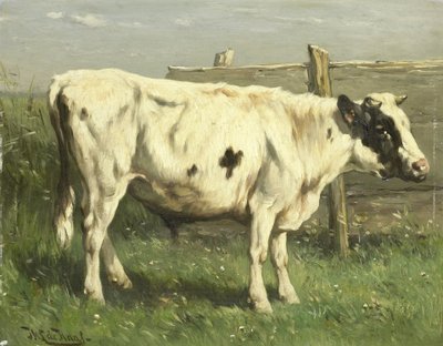 Junger Stier von Johannes Hubertus Leonardus de Haas