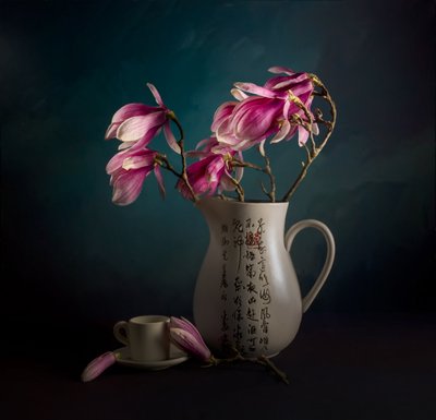 Elegantes Magnolien-Stillleben von John-Mei Zhong