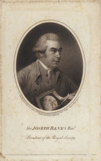 Sir Joseph Banks, englischer Naturforscher, Botaniker und Präsident der Royal Society von John (after) Russell