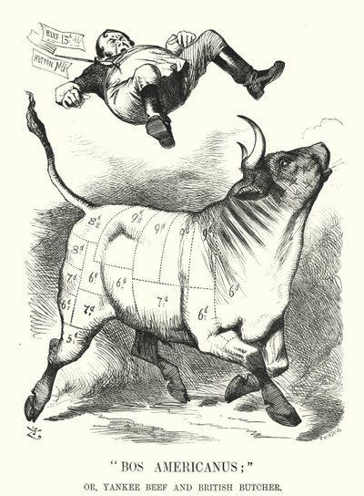 Punch-Karikatur: Bos Americanus; oder, Yankee Beef und britischer Metzger - erwartete Vorteile für Verbraucher durch den Import von amerikanischem Fleisch (Stich) von John (after) Tenniel