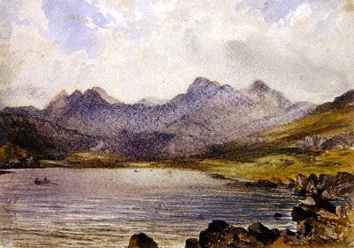 In der Nähe von Llyn Crafrant, Wales von John Brett