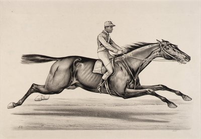 Kaiser von Norfolk von John Cameron