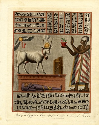 Teil eines ägyptischen Manuskripts, gefunden in der Umwicklung einer Mumie von John Chapman