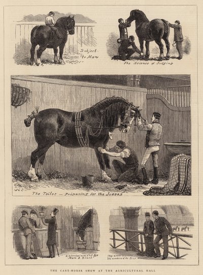 Die Kaltblutpferdeschau in der Agricultural Hall von John Charles Dollman