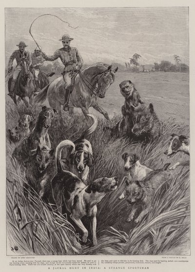 Eine Schakaljagd in Indien, ein seltsamer Sportsmann von John Charlton