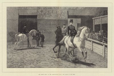 Die Pferdeschau in der Agricultural Hall, die Araber im Ring von John Charlton