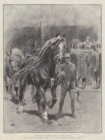 Die Shire Horse Show in der Landwirtschaftshalle von John Charlton