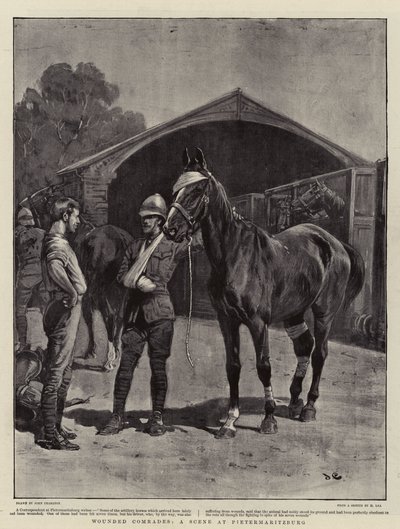 Verwundete Kameraden, eine Szene in Pietermaritzburg von John Charlton