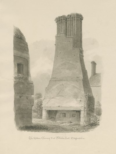 Pillaton Hall - Küchenkamin von John Chessell Buckler