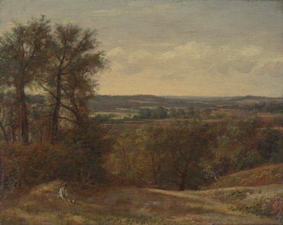 Dedham Vale von John Constable