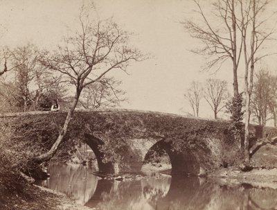 Die Landbrücke Staplylton Bridge, Bristol, ca. 1854-1857 von John Dillwyn Llewelyn