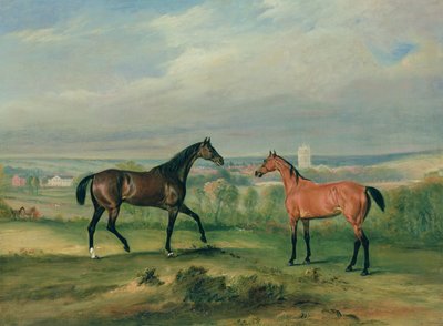 Graf Bathyanys Lieblingsjäger in Melton Mowbray von John E. Ferneley