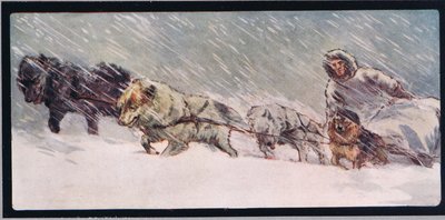 Huskies ziehen einen Schlitten, Illustration aus 