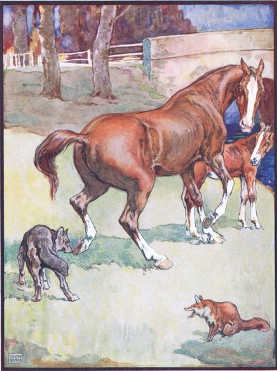 Die Stute hob ihren Huf, Illustration für Reineke Fuchs, aus Tierlegenden aus vielen Ländern, veröffentlicht von Raphael Tuck & Sons Ltd. von John Edwin Noble