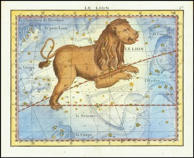 Le Lion (Löwe) von John Flamsteed
