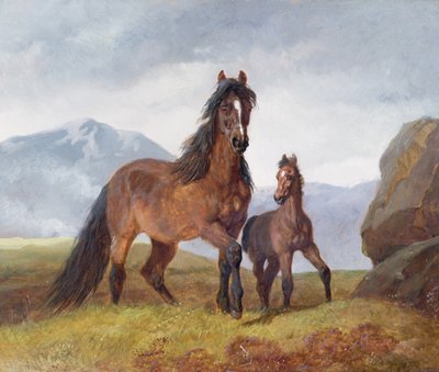 Eine walisische Bergstute und Fohlen, 1854 (Tafel) von John Frederick Herring Senior