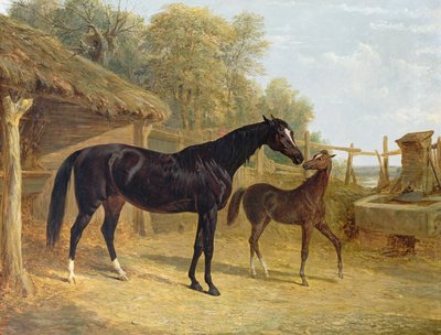 Levity, im Besitz von J.C. Cockerill Esq., mit ihrem Fohlen Queen Elizabeth, im Besitz von Lord Dorchester, 1843 von John Frederick Herring Senior