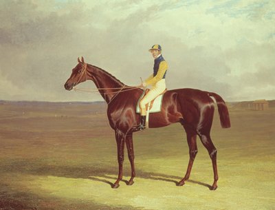 Mr. M. Stanleys Krücke auf Newmarket Heath, 1833 von John Frederick Herring Senior