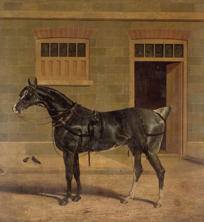 Unbekanntes Bild von John Frederick Herring Senior