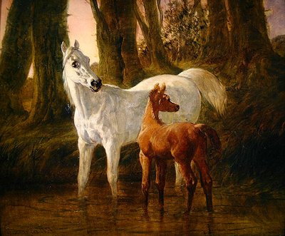 Hirsch und Fohlen erschreckt beim Trinken in einem Bach von John Frederick Herring Senior
